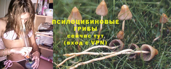ешки Ступино