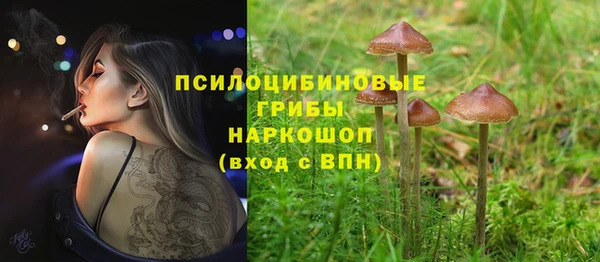 соль курить ск Аркадак