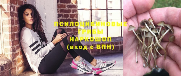 соль курить ск Аркадак